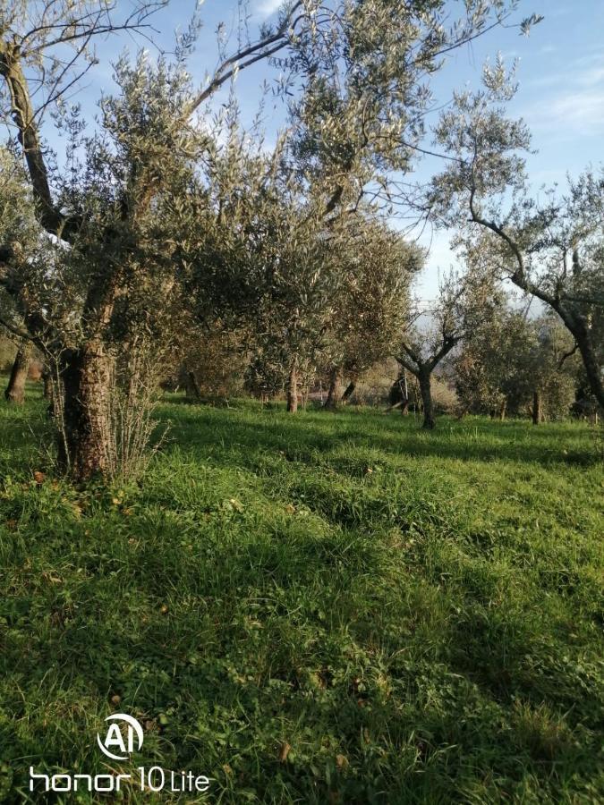 Appartamento Serenella Maenza Zewnętrze zdjęcie