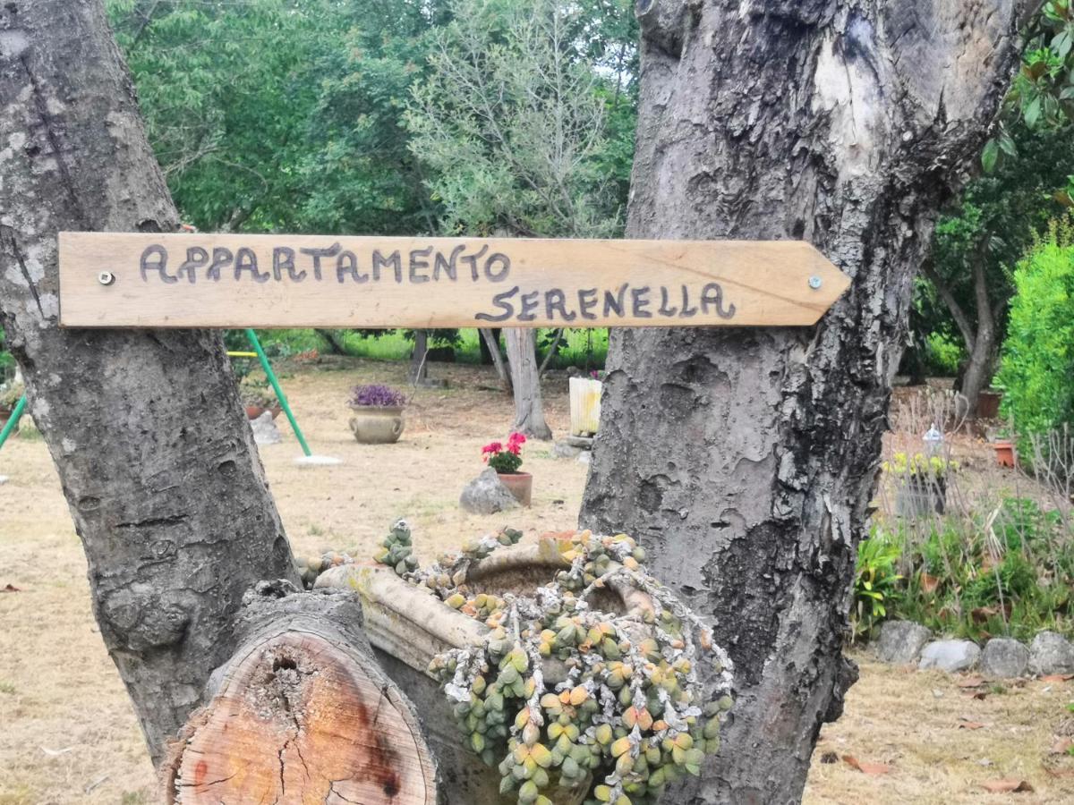 Appartamento Serenella Maenza Zewnętrze zdjęcie